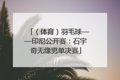 （体育）羽毛球——印尼公开赛：石宇奇无缘男单决赛
