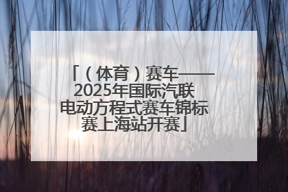 （体育）赛车——2025年国际汽联电动方程式赛车锦标赛上海站开赛