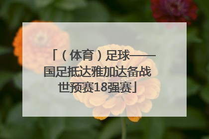 （体育）足球——国足抵达雅加达备战世预赛18强赛