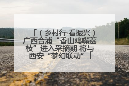 （乡村行·看振兴）广西合浦“香山鸡嘴荔枝”进入采摘期 将与西安“梦幻联动”
