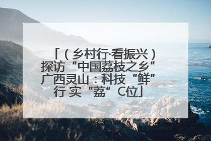 （乡村行·看振兴）探访“中国荔枝之乡”广西灵山：科技“鲜”行 实“荔”C位
