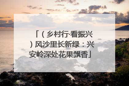 （乡村行·看振兴）风沙里长新绿：兴安岭深处花果飘香