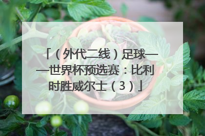 （外代二线）足球——世界杯预选赛：比利时胜威尔士（3）