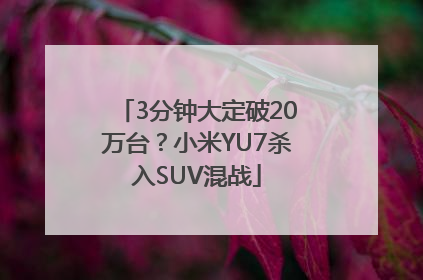 3分钟大定破20万台？小米YU7杀入SUV混战
