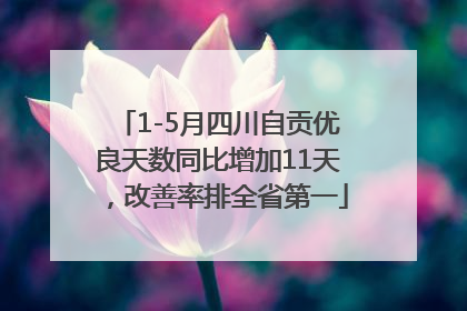 1-5月四川自贡优良天数同比增加11天，改善率排全省第一
