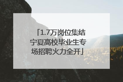 1.7万岗位集结 宁夏高校毕业生专场招聘火力全开