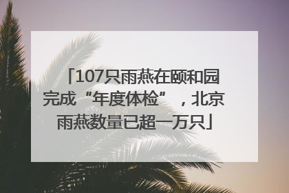 107只雨燕在颐和园完成“年度体检”，北京雨燕数量已超一万只