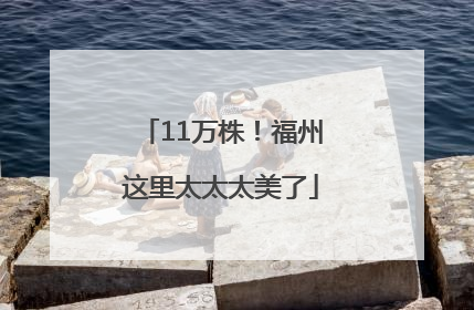 11万株！福州这里太太太美了