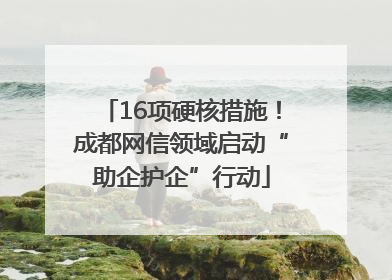 16项硬核措施！成都网信领域启动“助企护企”行动