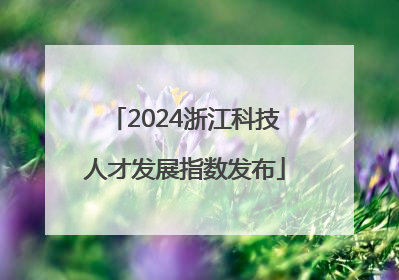 2024浙江科技人才发展指数发布