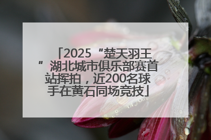 2025“楚天羽王”湖北城市俱乐部赛首站挥拍，近200名球手在黄石同场竞技