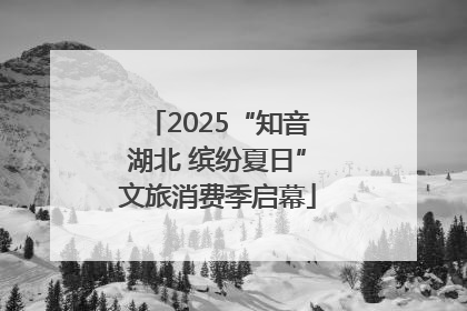 2025“知音湖北 缤纷夏日”文旅消费季启幕