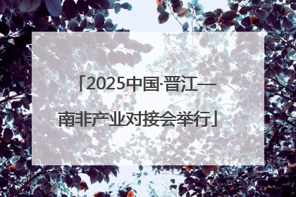 2025中国·晋江—南非产业对接会举行