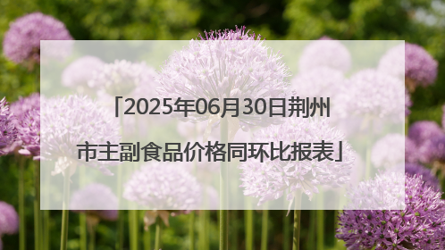 2025年06月30日荆州市主副食品价格同环比报表