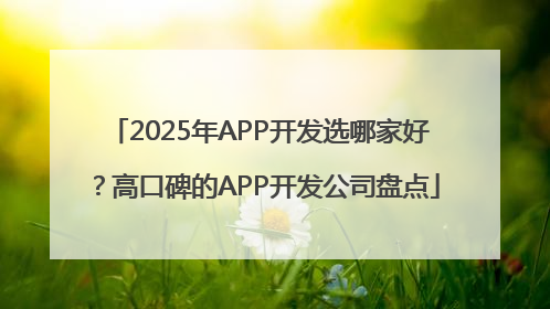 2025年APP开发选哪家好？高口碑的APP开发公司盘点