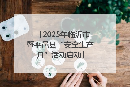 2025年临沂市暨平邑县“安全生产月”活动启动