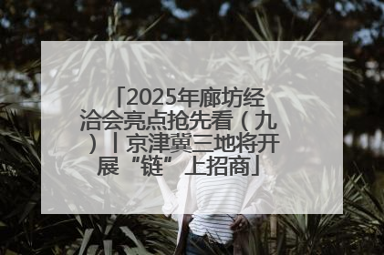 2025年廊坊经洽会亮点抢先看（九）丨京津冀三地将开展“链”上招商