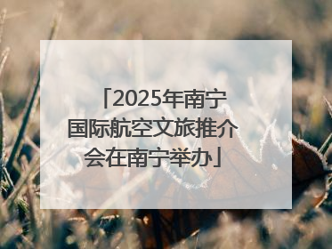 2025年南宁国际航空文旅推介会在南宁举办