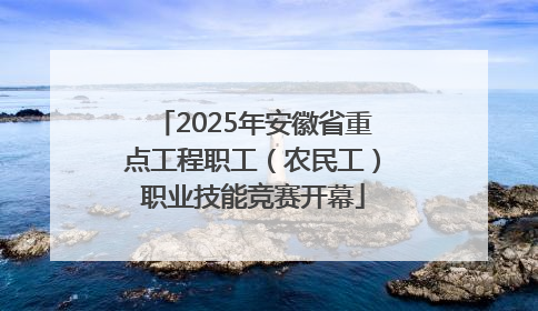 2025年安徽省重点工程职工（农民工）职业技能竞赛开幕