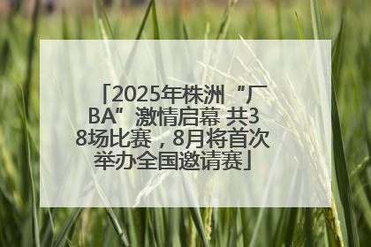 2025年株洲“厂BA”激情启幕 共38场比赛，8月将首次举办全国邀请赛