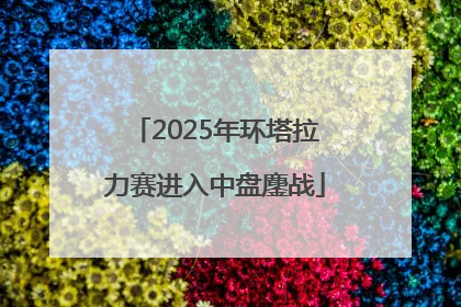 2025年环塔拉力赛进入中盘鏖战