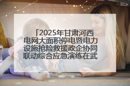 2025年甘肃河西电网大面积停电暨电力设施抢险救援政企协同联动综合应急演练在武威成功举行