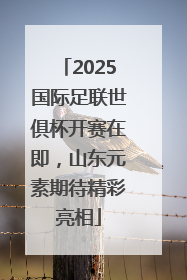 2025国际足联世俱杯开赛在即，山东元素期待精彩亮相