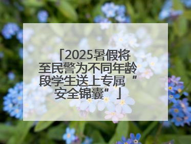 2025暑假将至民警为不同年龄段学生送上专属“安全锦囊”