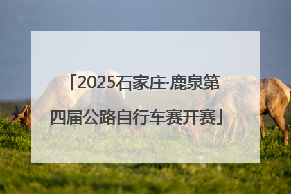 2025石家庄·鹿泉第四届公路自行车赛开赛