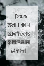2025苏州工业园区网络文化采风活动圆满举行