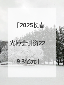 2025长春光博会引资229.3亿元