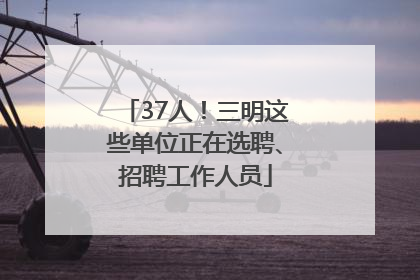 37人！三明这些单位正在选聘、招聘工作人员