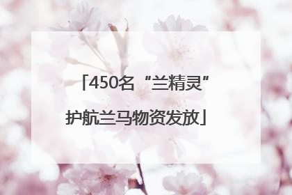450名“兰精灵”护航兰马物资发放