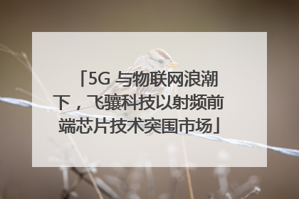 5G 与物联网浪潮下，飞骧科技以射频前端芯片技术突围市场