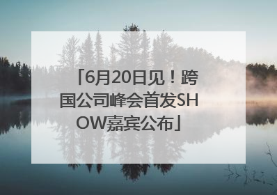 6月20日见！跨国公司峰会首发SHOW嘉宾公布