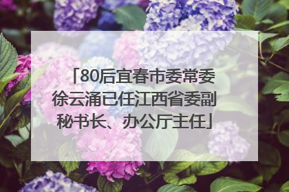 80后宜春市委常委徐云涌已任江西省委副秘书长、办公厅主任
