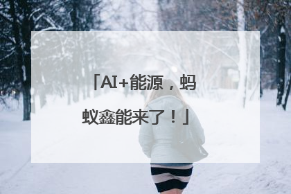 AI+能源，蚂蚁鑫能来了！