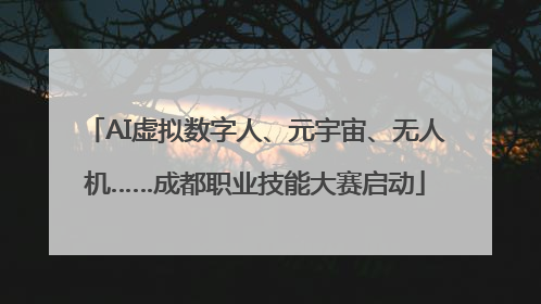 AI虚拟数字人、元宇宙、无人机……成都职业技能大赛启动