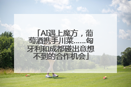 AI遇上魔方，葡萄酒携手川菜……匈牙利和成都碰出意想不到的合作机会