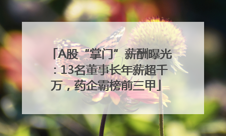A股“掌门”薪酬曝光：13名董事长年薪超千万，药企霸榜前三甲