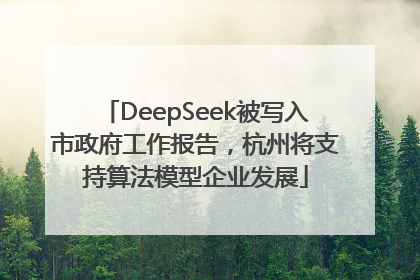 DeepSeek被写入市政府工作报告，杭州将支持算法模型企业发展