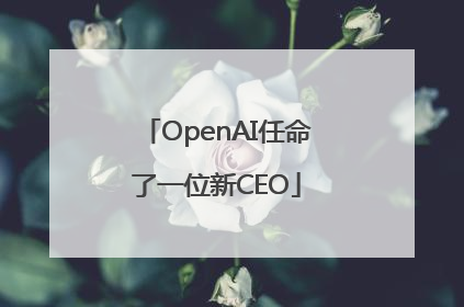 OpenAI任命了一位新CEO
