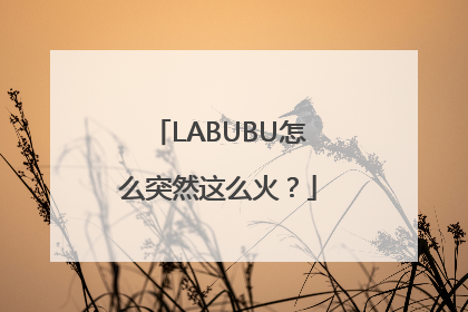 LABUBU怎么突然这么火？