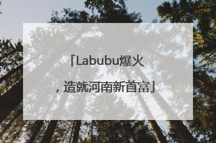 Labubu爆火，造就河南新首富