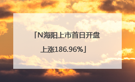 N海阳上市首日开盘上涨186.96%