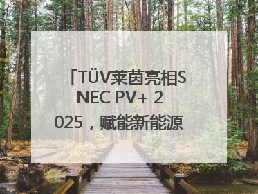 TÜV莱茵亮相SNEC PV+ 2025，赋能新能源产业高质量发展