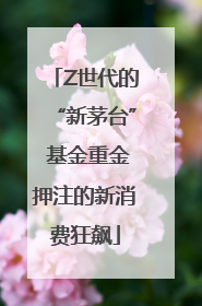 Z世代的“新茅台” 基金重金押注的新消费狂飙