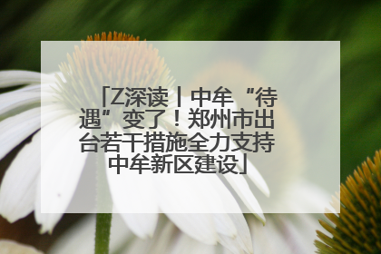Z深读丨中牟“待遇”变了！郑州市出台若干措施全力支持中牟新区建设